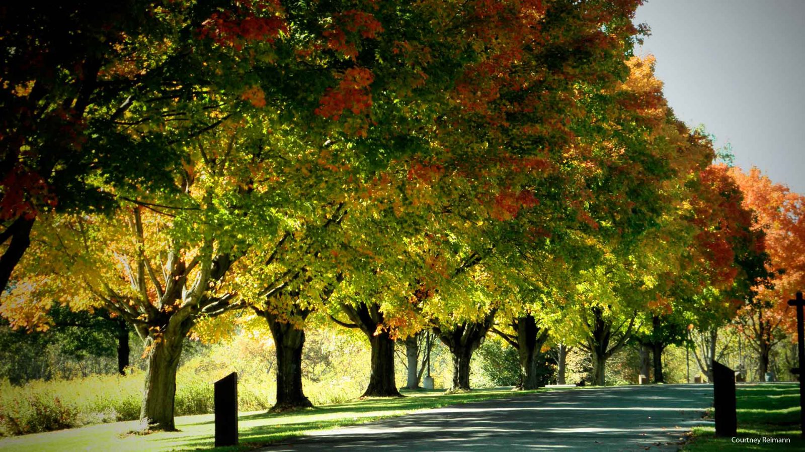 Fall Colors in the Lebanon Valley