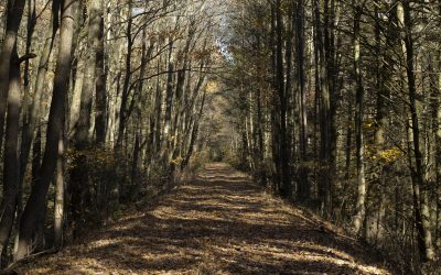 Sustainability in Lebanon Valley Parks, Trails, and Waterways