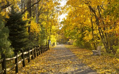 A Lebanon Valley Autumn